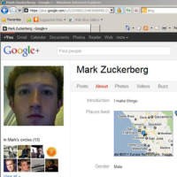 Di Google+, Bos Facebook Lebih Populer dari Bos Google