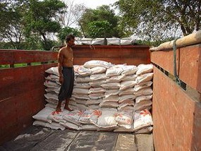 Pasokan Beras Murah Semakin Langka