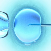 Bayi Tabung Jadi Hadiah Lotre