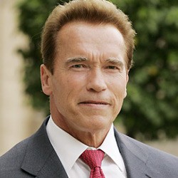 The Last Stand, Kembalinya Arnold Schwarzenegger
