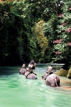 Menaklukkan, atau Ditaklukkan Alam Tangkahan?