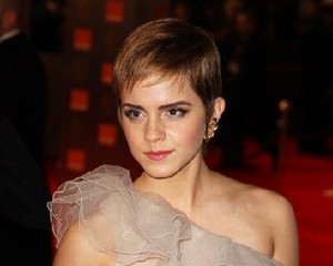 Emma Watson: Saya Butuh Penata Gaya