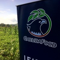 GarudaFood Rangkul Suntory Jepang Rambah Bisnis Minuman