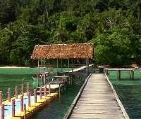 Kandungan Nikel Raja Ampat Akan Habis 100 Tahun?