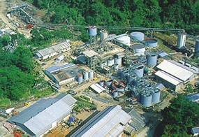 Produksi Emas Antam Tak Capai Target 2 Juta Ton