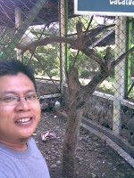 Deklarasi Cerdas & Jujur, Membangun Masyarakat Sehat