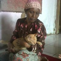 Wah, Nenek di Marunda Susui Kucing Hingga Besar