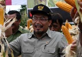 Penimbunan Beras Diduga Terjadi di 10 Titik