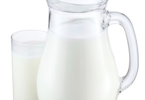 Susu Sapi Bayi Lebih Asin Karena Kandungan Garamnya Tinggi