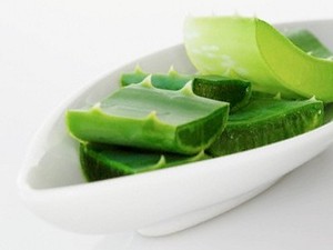 Lidah Buaya dan Klabet Atasi Diabetes