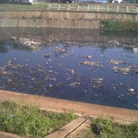 Banjir Kanal Timur Mulai Dipenuhi Sampah
