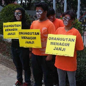 Orangutan Menagih Janji Fauzi Bowo