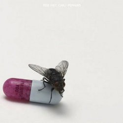Konser Album Baru RHCP Akan Tayang di Bioskop