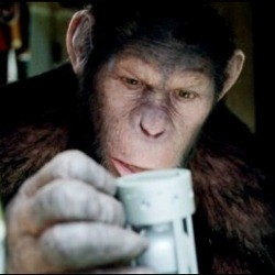 Rise of the Planet of the Apes Duduki Puncak Box Office 