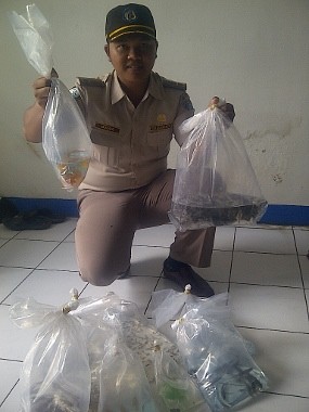 Ikan Sengaja Dibawa dari Singapura ke Bandung