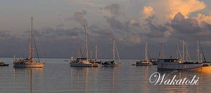 Sail Wakatobi: Melestarikan Samudera untuk Masa Depan