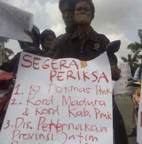 FPKP Laporkan Dugaan Penggelapan Belasan Ekor Sapi ke Polisi