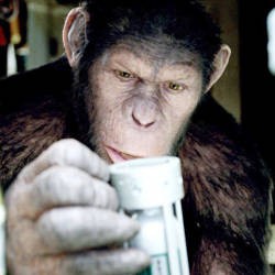 Rise of the Planet of the Apes Masih Rajai Box Office