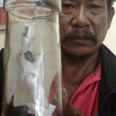 Tuyul  Itu Ditangkap Saat Curi Uang Pemilik Warung Kopi