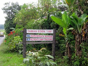Hutan Taman Eden 100