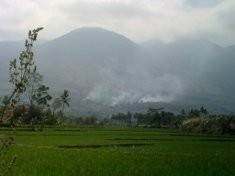 Kawasan Gunung Guntur Kembali Terbakar