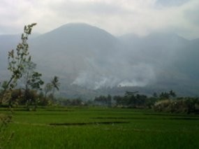 Kawasan Gunung Guntur Kembali Terbakar