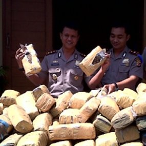 Ganja 2,8 Kuintal akan Diedarkan di Jakarta dan Bandung