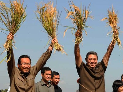 SBY Panen Padi