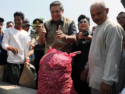 SBY Kunjungi Petani Bawang