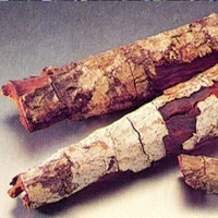 Kina, Obat untuk Malaria