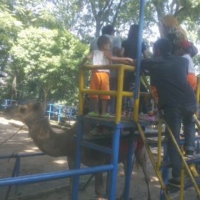 Libur Lebaran, Bonbin Bandung Siapkan 200 Ribu Tiket