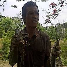 Meski Ada Ular Berbisa, Warga Tetap Buru Ikan di Kalimalang