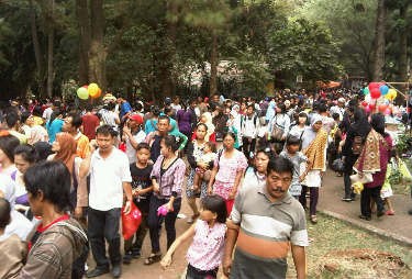 Lalin ke Ragunan Padat, TransJ Cuma Sampai Halte Deptan