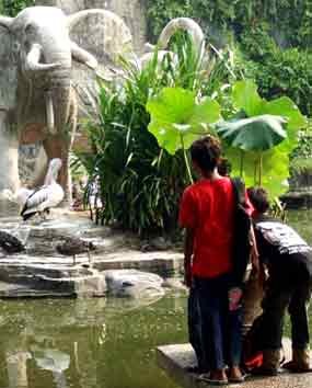  Libur Lebaran, Ragunan Mulai Disambangi Wisatawan