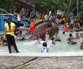 Ini Dia Tempat Wisata di Kota Lumajang