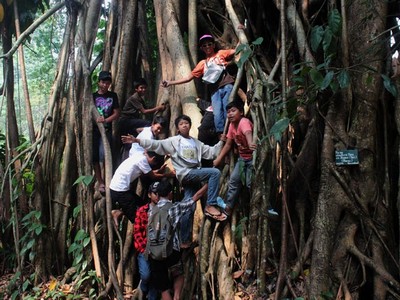 Lebaran di Kebun Raya Bogor