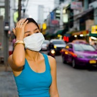 Flu Burung Bangkit Lagi