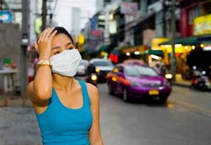 Flu Burung Bangkit Lagi
