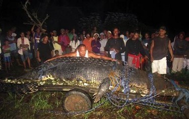 Buaya Raksasa Berhasil Ditangkap Hidup-hidup di Filipina
