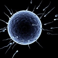 Wow, 1 Pendonor Sperma Punya 150 Keturunan