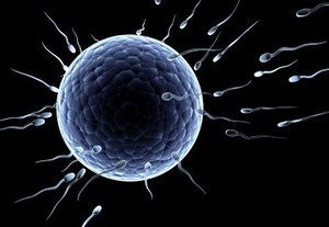 Wow, 1 Pendonor Sperma Punya 150 Keturunan