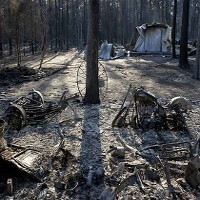 Kebakaran di Texas Belum Terkendali, Ribuan Orang Dievakuasi