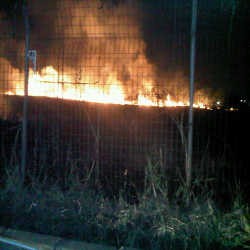 Api di Lapangan Terbang Pondok Cabe Berhasil Dipadamkan