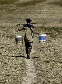 Pemerintah Minta Pemda Bersiap Hadapi Kemungkinan Krisis Pangan