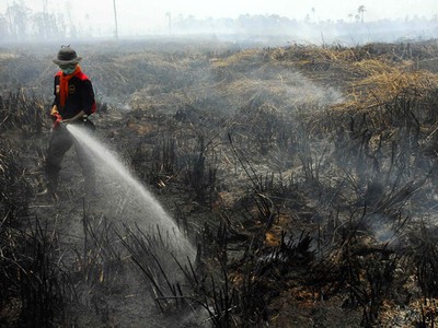 300 Hektar Lahan Gambut di Jambi Terbakar