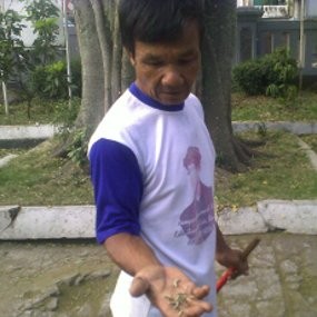 Diserang Ulat Bulu, Pintu Kantor Kecamatan Antapani Ditutup