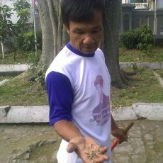Hii...Kantor Kecamatan Antapani Diserang Ribuan Ulat Bulu