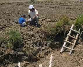 Tujuh Kecamatan di Malang Rawan Kekeringan