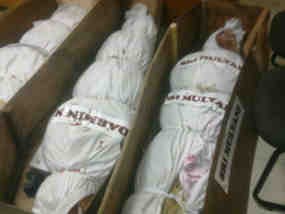 KPK Dihadiahi Peti Mati & 3 Pocong