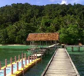 ESDM Dukung Gubernur Papua Larang Penambangan di Raja Ampat